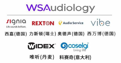 世界五大聽力集團技術優勢與產品系列解析 如何選擇最適合的助聽器品牌？