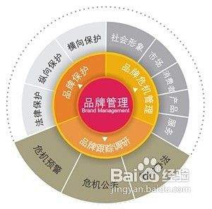 打造個(gè)性化爬蟲店Logo的核心策略 以品牌管理驅(qū)動(dòng)形象升級